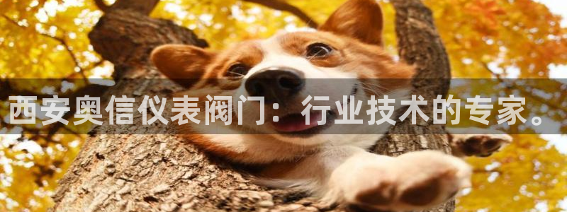 新宝gg6娱乐注册网址