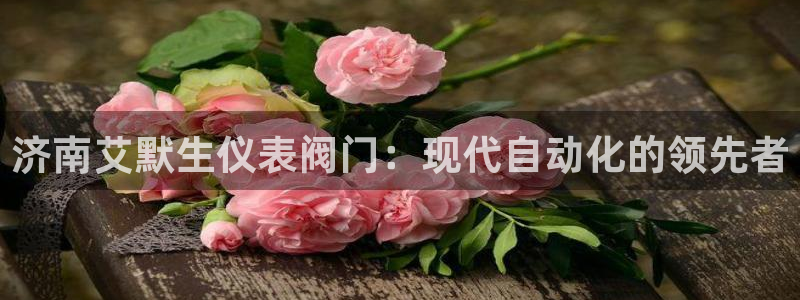新宝Gg测速地址