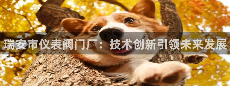 娱乐世界新宝gg