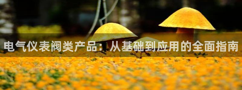 新宝gg挂机软件下载