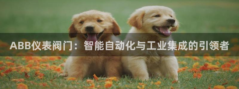 新宝gg官网登录找代理