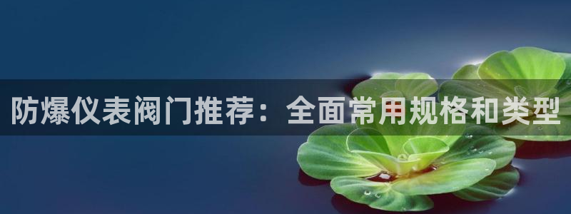 新宝gg金砖彩票