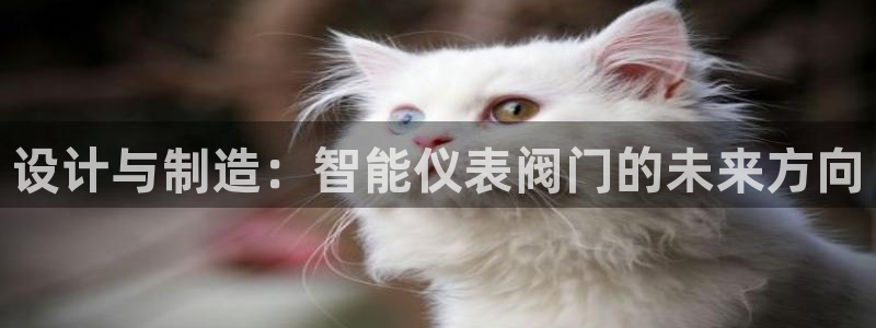 新宝gg客服电话