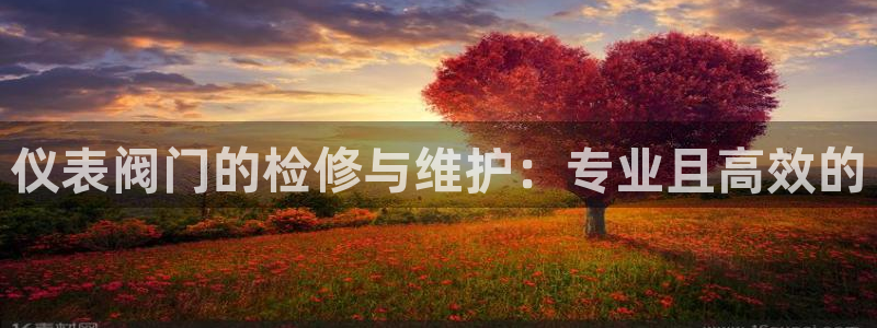 广东新宝电器gg