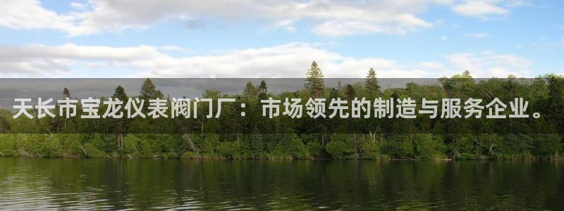 新宝gg注册登录网址