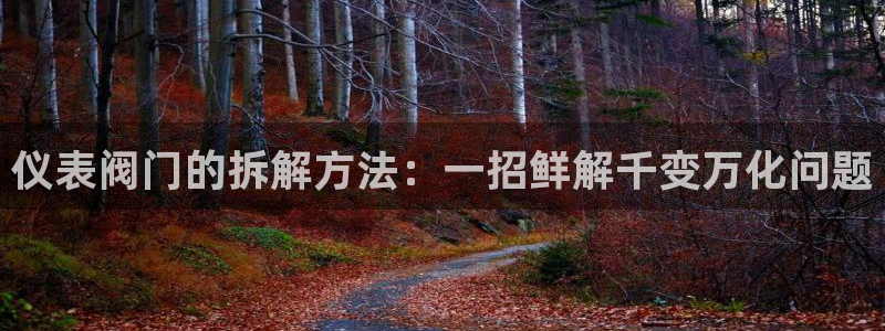 新宝gg如何代理