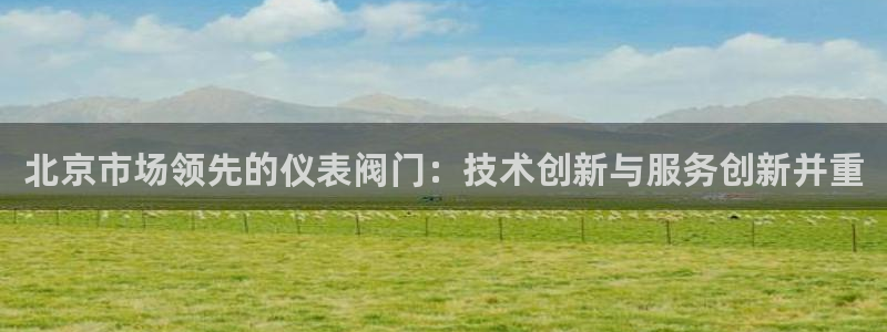 新宝gg平台首页