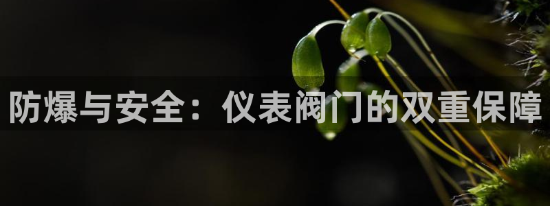 新宝GG官方域名