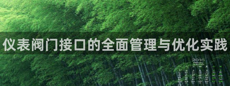 新宝gg娱乐注册