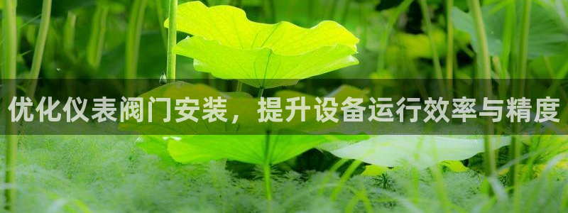 新宝gg代理条件