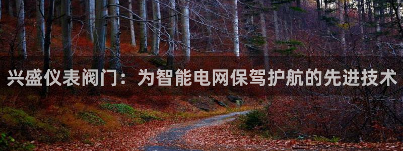 新宝gg平台反水