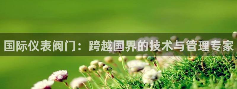 新宝gg手机官网登录