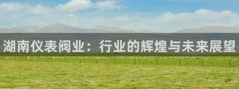 新宝gg怎样代理