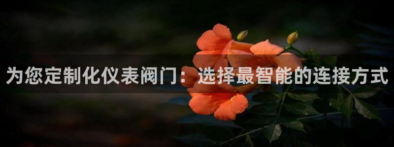 新宝gg注册登录