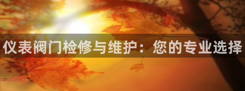 新宝gg 登录页面