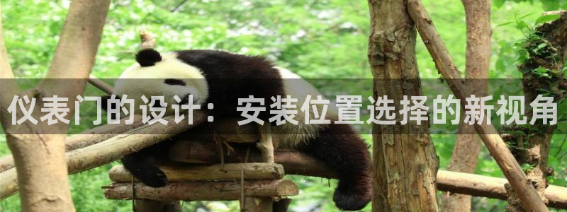 新宝gg代理条件
