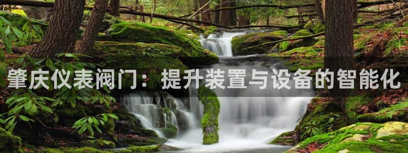 新宝GG亚洲