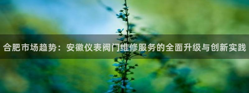 新宝gg为什么没人管