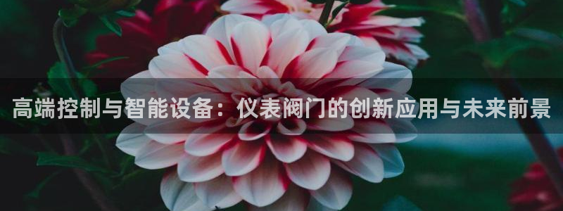 新宝gg工资