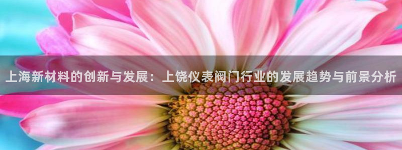 x新宝gg
