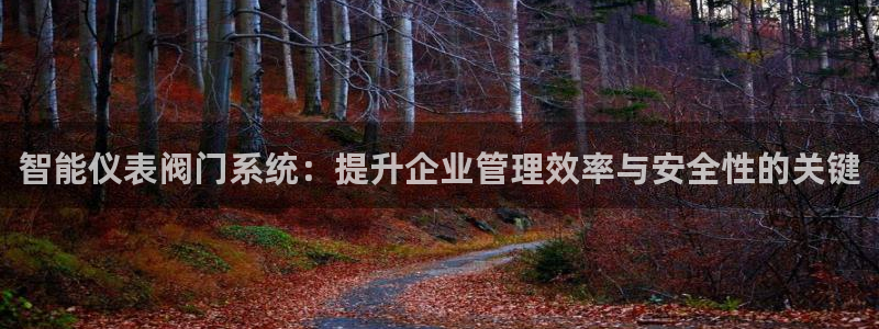 新宝 gg 下载