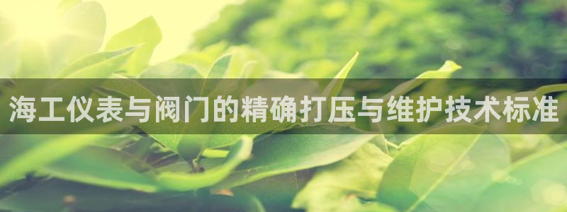 新宝gg登录