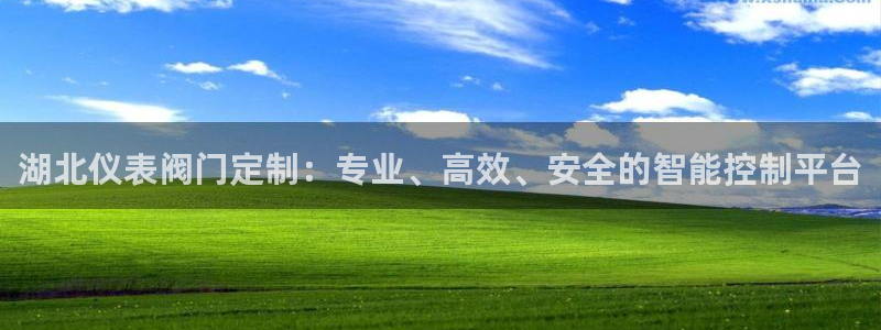 新宝gg 登录