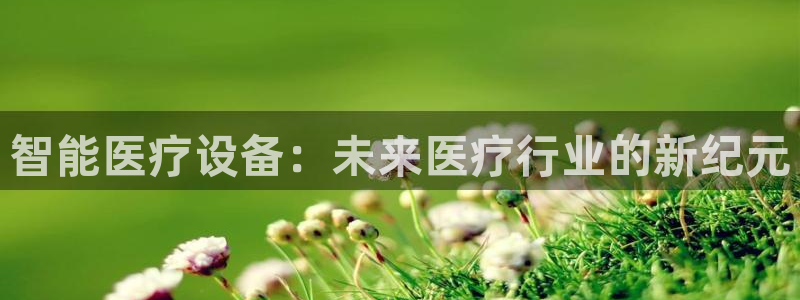 新宝gg主