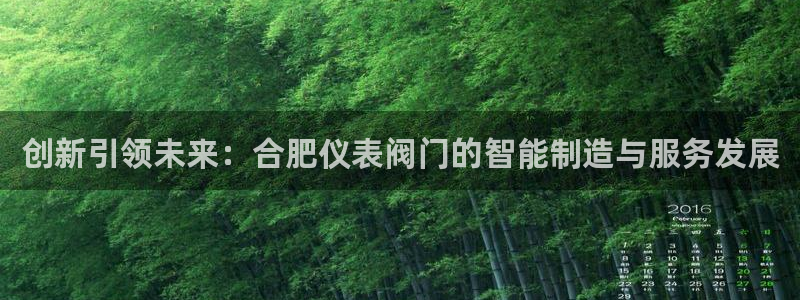 关于新宝GG
