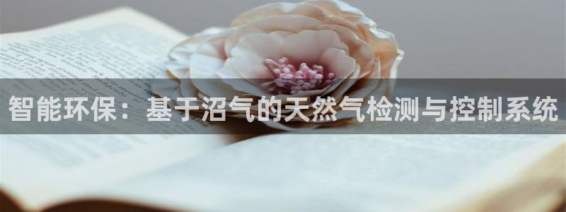 新宝gg是在境外吗