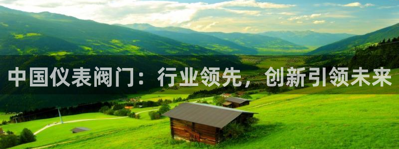新宝gg娱乐平台
