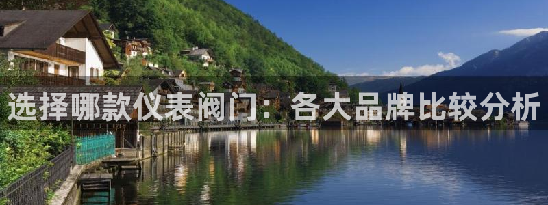 新宝GG反点